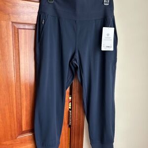 Athletes Venice joggers